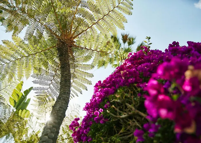 5-Star Hotels in Los Angeles